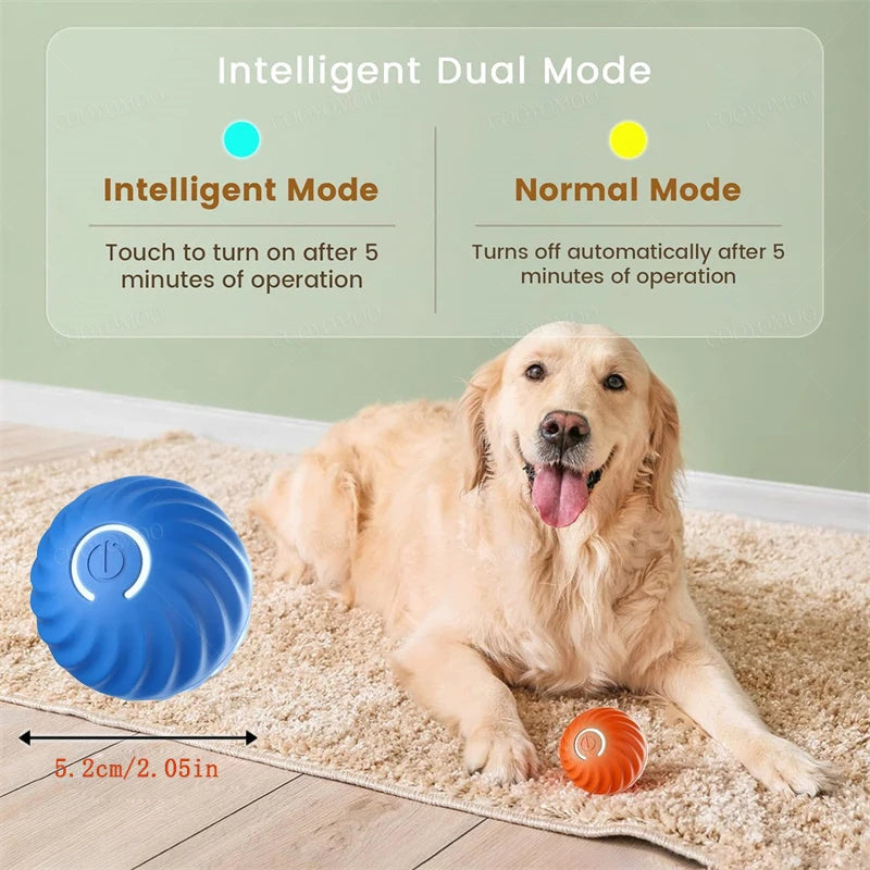 Interactive Pet Adventure Ball™