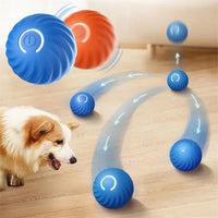 Interactive Pet Adventure Ball™