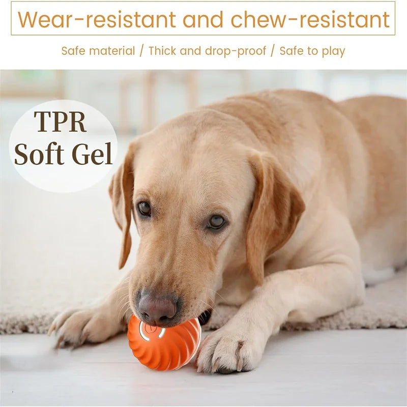 Interactive Pet Adventure Ball™