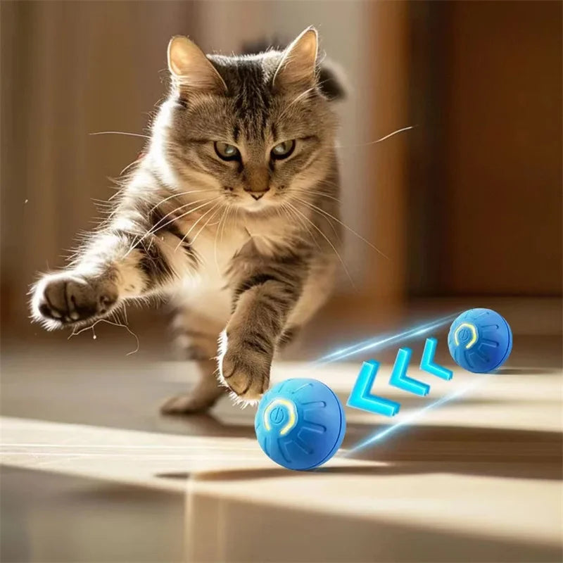Interactive Pet Adventure Ball™