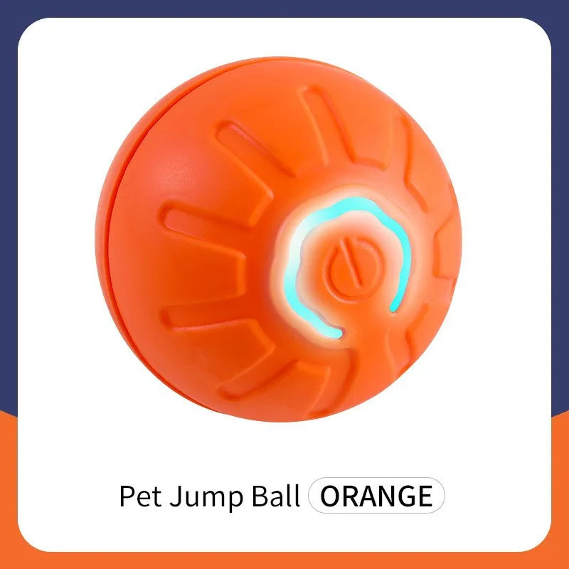 Interactive Pet Adventure Ball™