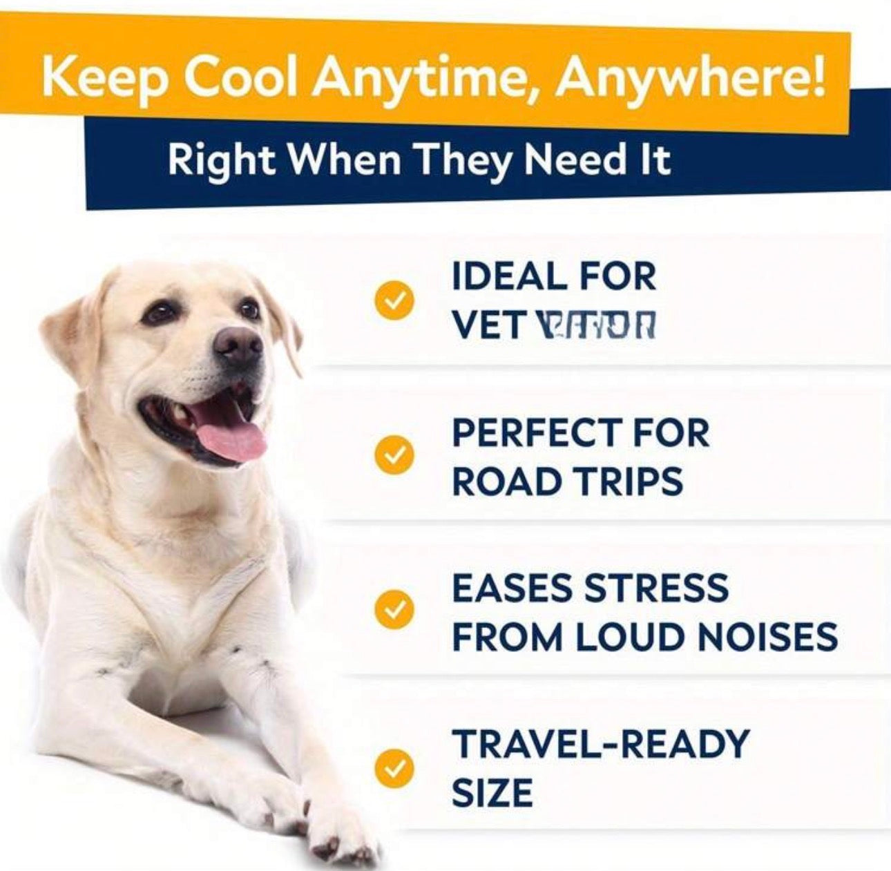 Dog Pet Chews For All Breeds