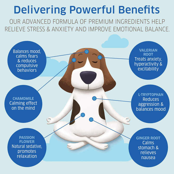Premium Pet Health Chews™