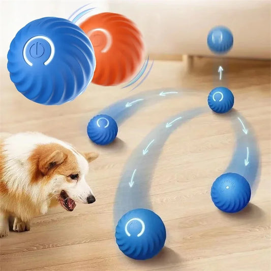Interactive Pet Adventure Ball™