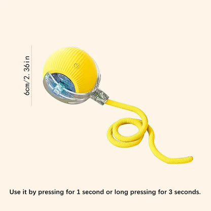 Interactive Pet Adventure Ball™
