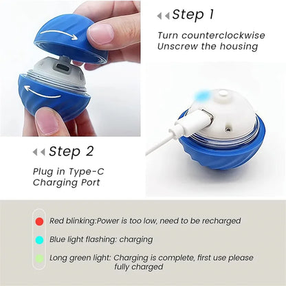 Interactive Pet Adventure Ball™