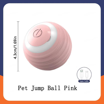 Interactive Pet Adventure Ball™